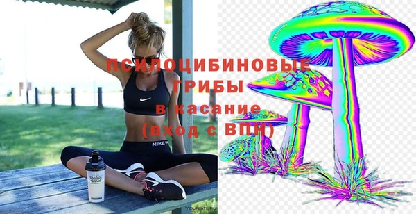 мескалин Алексин