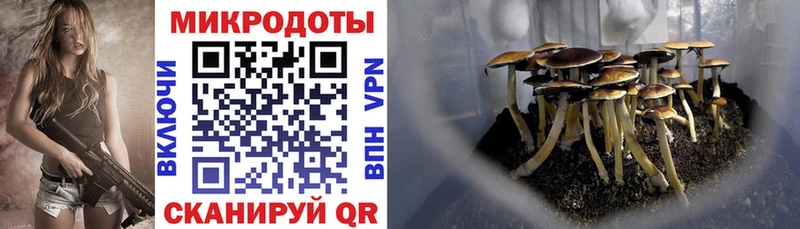 Псилоцибиновые грибы прущие грибы  как найти наркотики  Уфа 